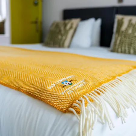 Dan Linehan'S B&B
